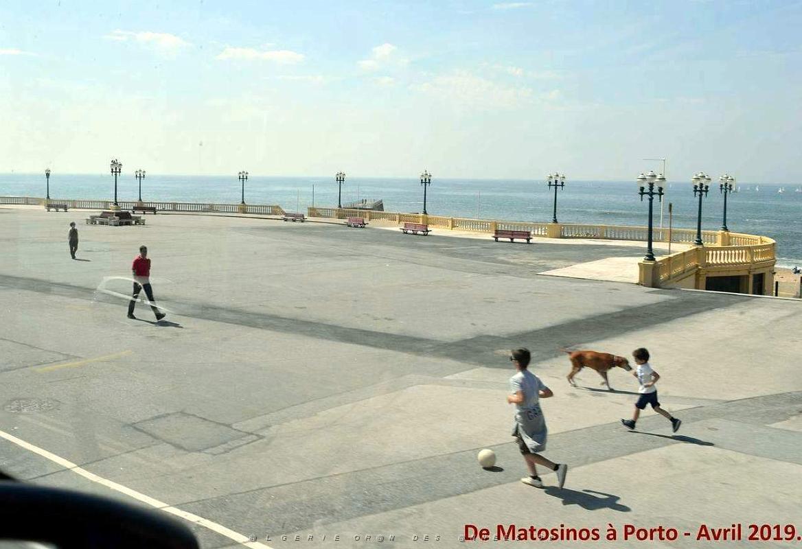 0767 - De Matosinhos a Porto.JPG